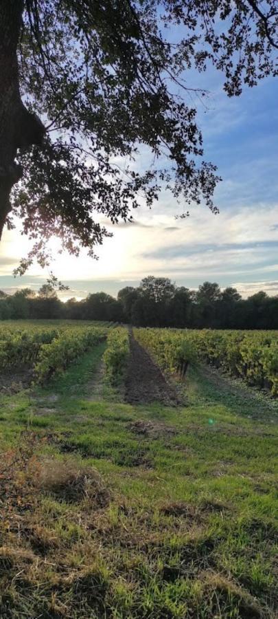 Chateau Barbebelle Rognes
