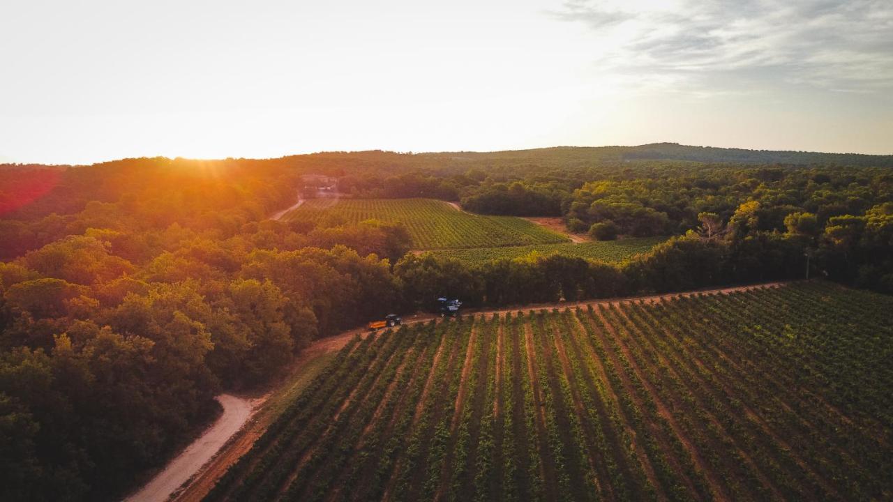 Chateau Barbebelle Rognes